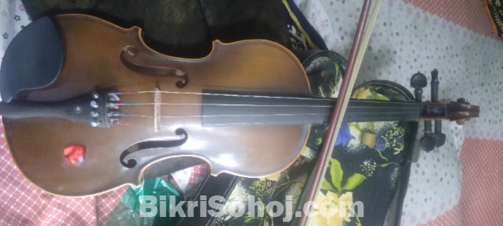 Violin